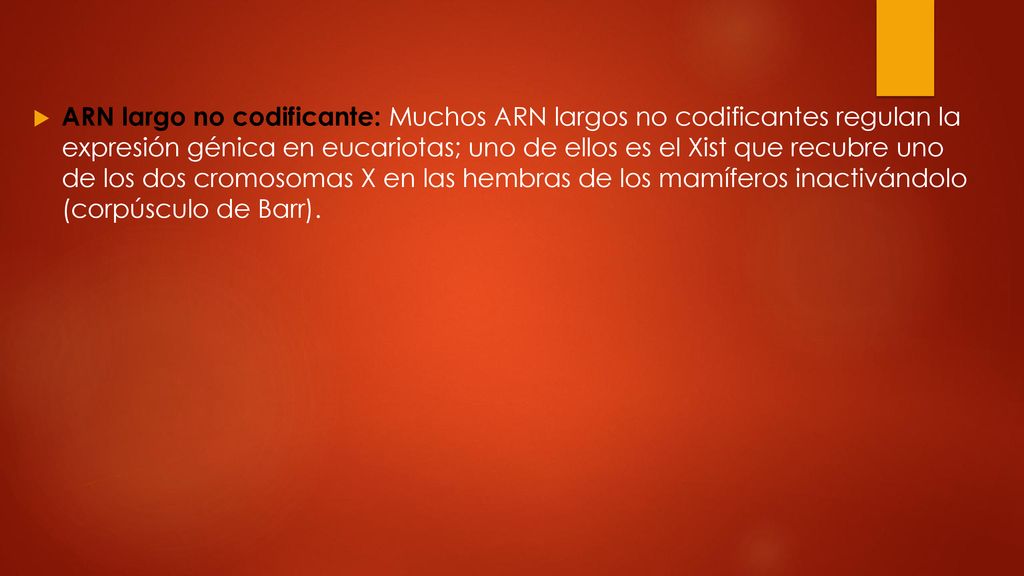 ARN largo no codificante: Muchos ARN largos no codificantes regulan la expresión génica en eucariotas; uno de ellos es el Xist que recubre uno de los dos cromosomas X en las hembras de los mamíferos inactivándolo (corpúsculo de Barr).