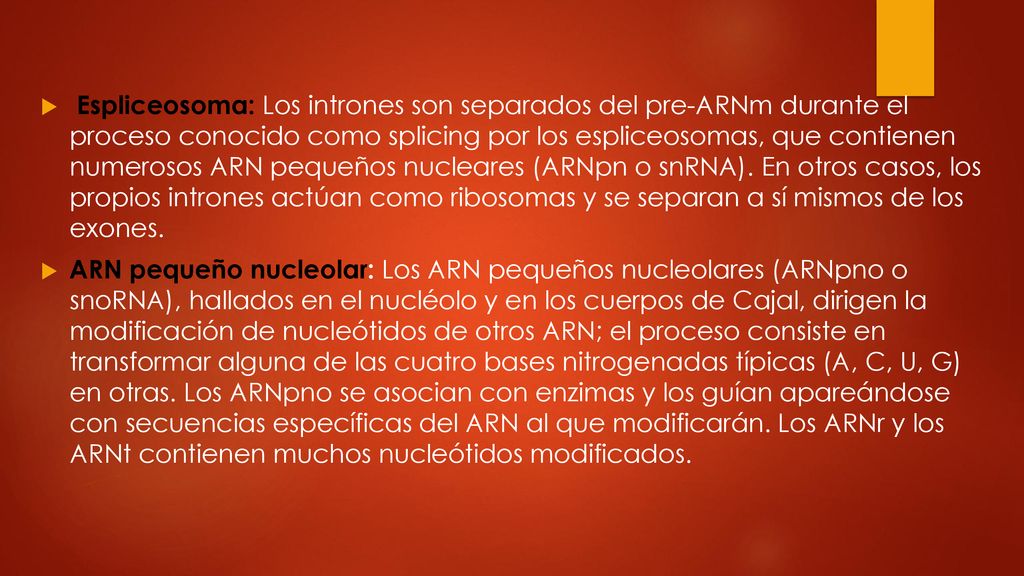 Espliceosoma: Los intrones son separados del pre-ARNm durante el proceso conocido como splicing por los espliceosomas, que contienen numerosos ARN pequeños nucleares (ARNpn o snRNA). En otros casos, los propios intrones actúan como ribosomas y se separan a sí mismos de los exones.