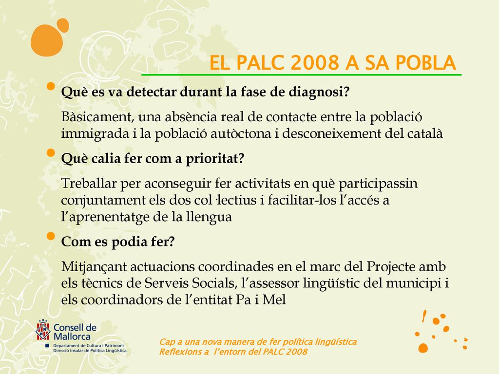 EL PALC 2008 A SA POBLA Què es va detectar durant la fase de diagnosi