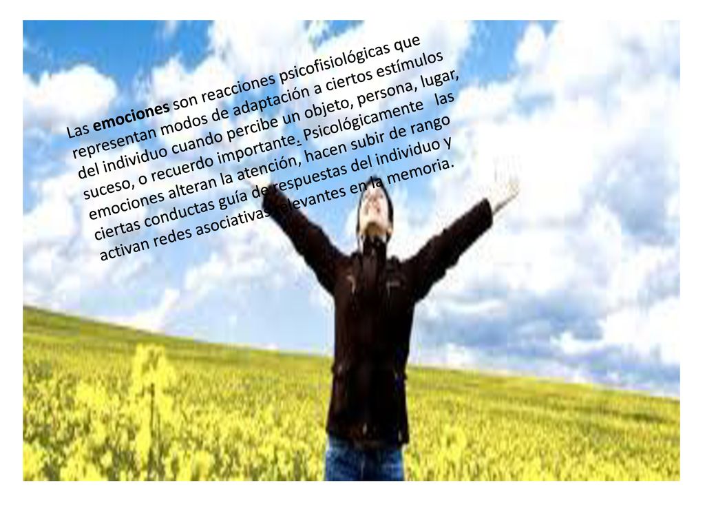 Las emociones son reacciones psicofisiológicas que representan modos de adaptación a ciertos estímulos del individuo cuando percibe un objeto, persona, lugar, suceso, o recuerdo importante.