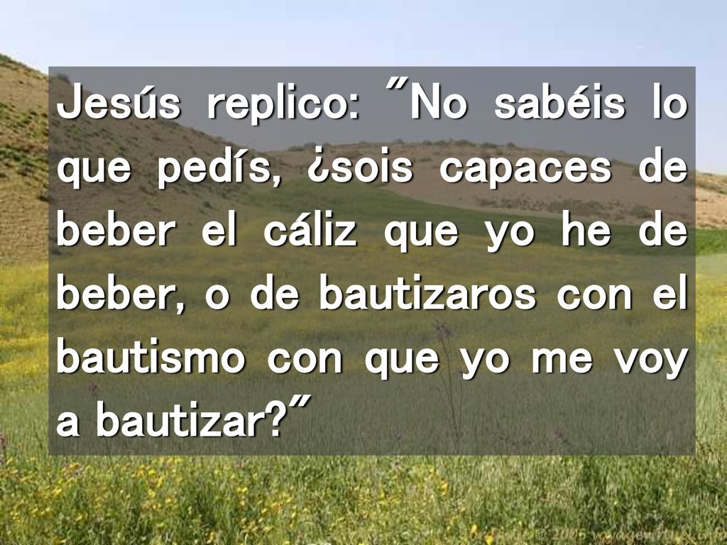 Jesús replico: No sabéis lo que pedís, ¿sois capaces de beber el cáliz que yo he de beber, o de bautizaros con el bautismo con que yo me voy a bautizar
