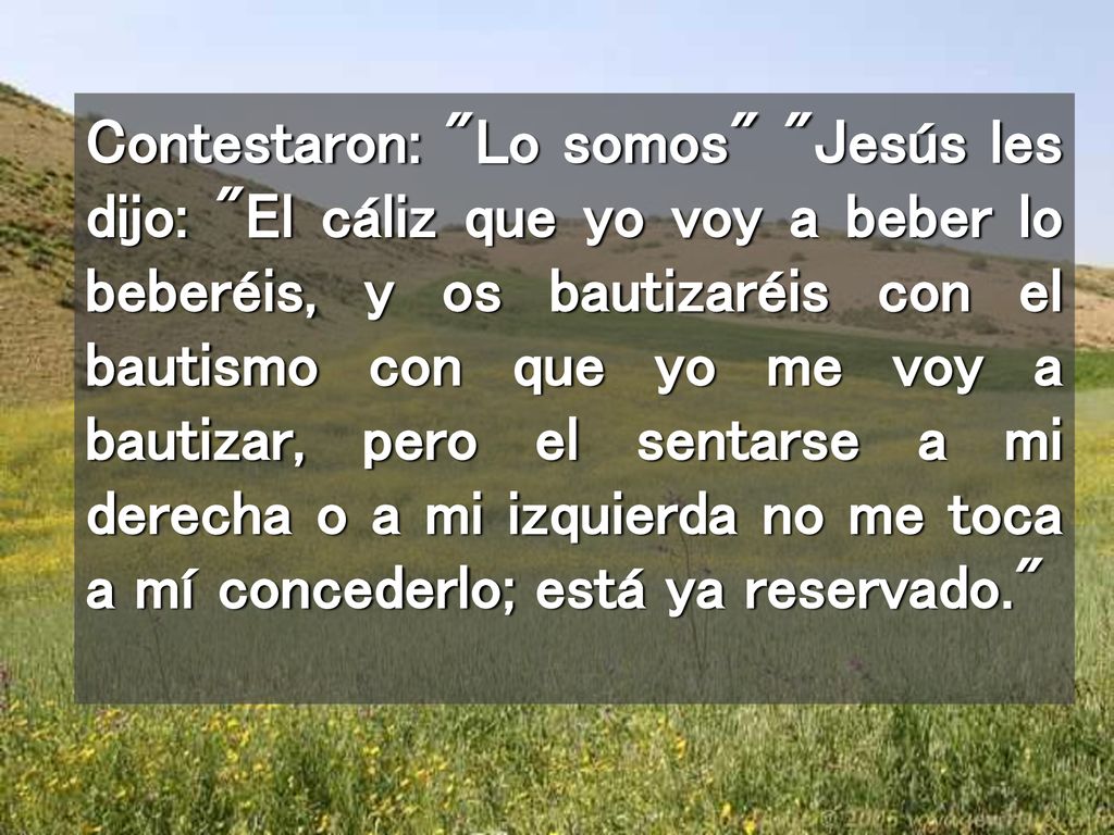 Contestaron: Lo somos Jesús les dijo: El cáliz que yo voy a beber lo beberéis, y os bautizaréis con el bautismo con que yo me voy a bautizar, pero el sentarse a mi derecha o a mi izquierda no me toca a mí concederlo; está ya reservado.