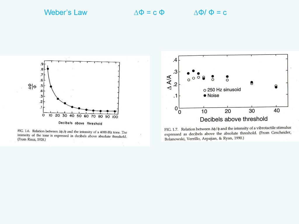 Weber’s Law ∆Φ = c Φ ∆Φ/ Φ = c