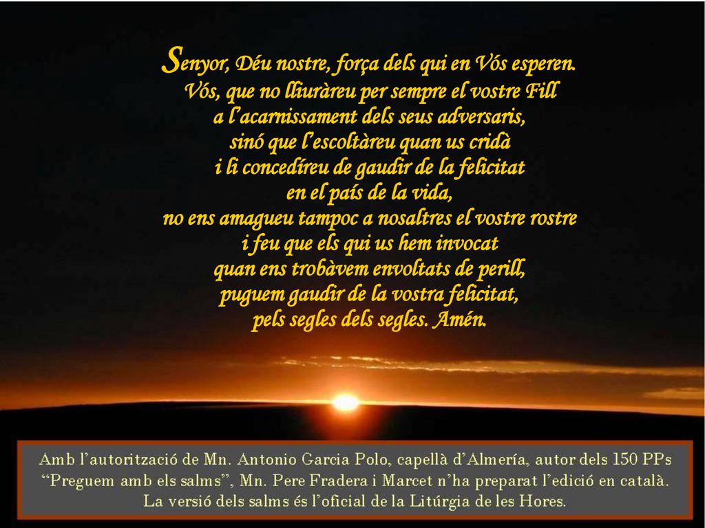 Senyor, Déu nostre, força dels qui en Vós esperen.