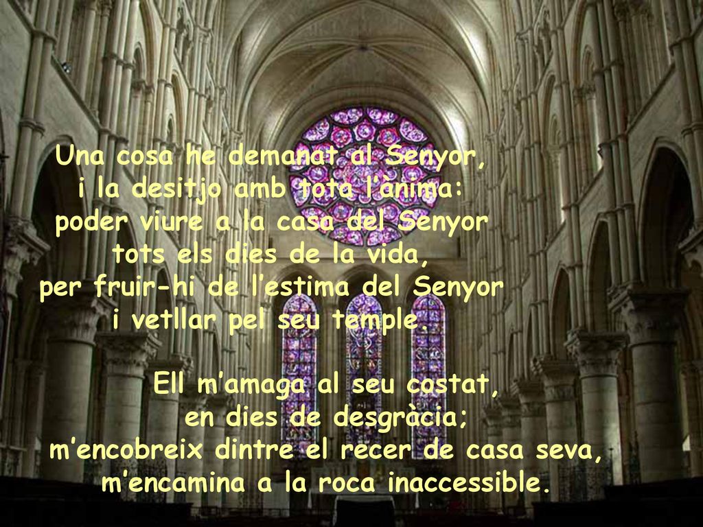 Una cosa he demanat al Senyor, i la desitjo amb tota l’ànima: