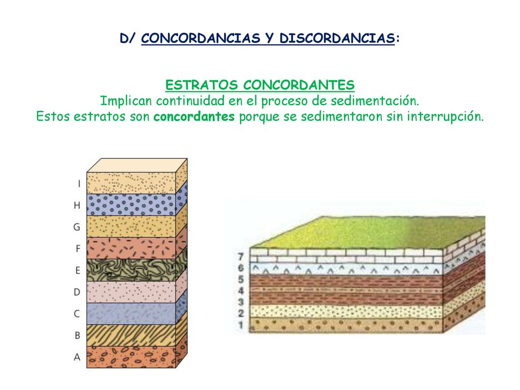 D/ CONCORDANCIAS Y DISCORDANCIAS: ESTRATOS CONCORDANTES Implican continuidad en el proceso de sedimentación.