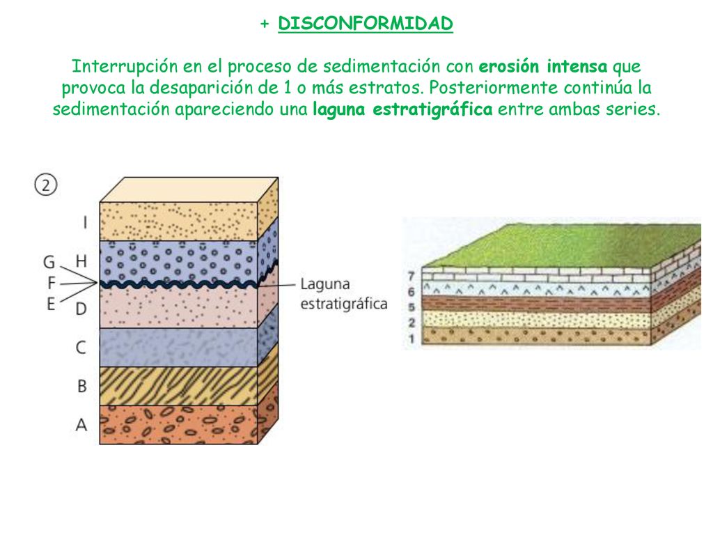 + DISCONFORMIDAD Interrupción en el proceso de sedimentación con erosión intensa que provoca la desaparición de 1 o más estratos.