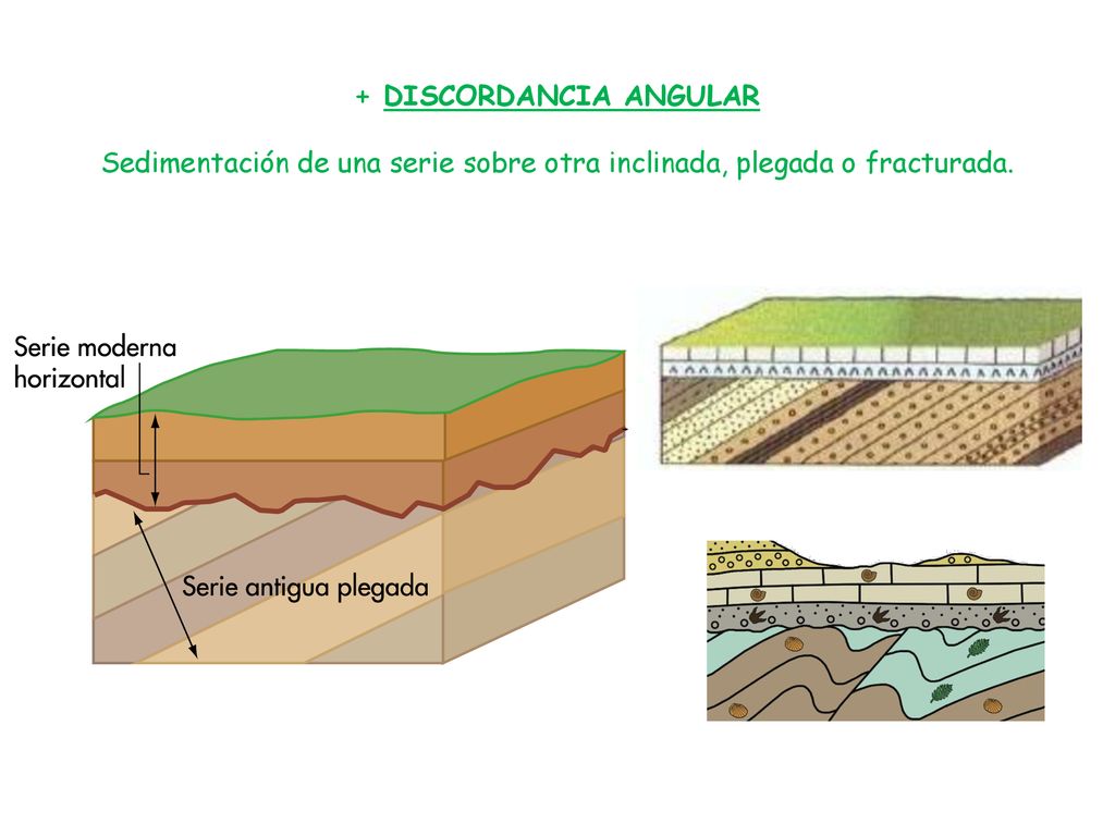 + DISCORDANCIA ANGULAR Sedimentación de una serie sobre otra inclinada, plegada o fracturada.