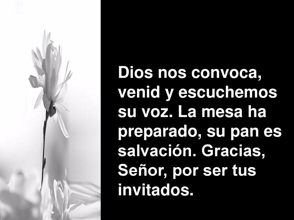 Dios nos convoca, venid y escuchemos. su voz. La mesa ha. preparado, su pan es. salvación. Gracias,
