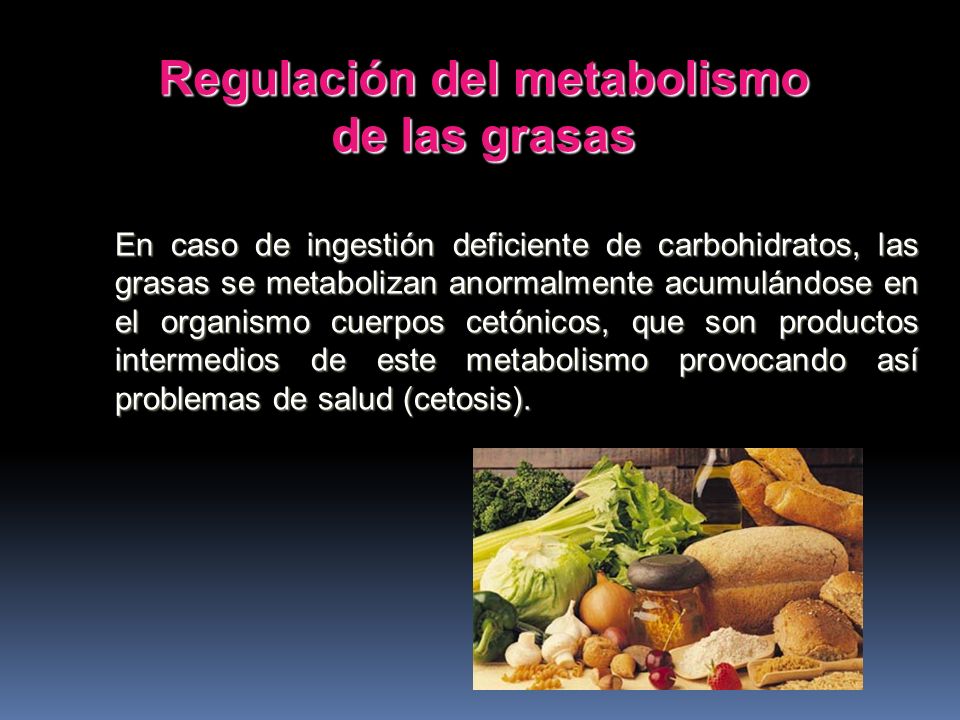 Regulación del metabolismo de las grasas