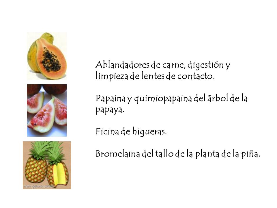 Ablandadores de carne, digestión y limpieza de lentes de contacto.