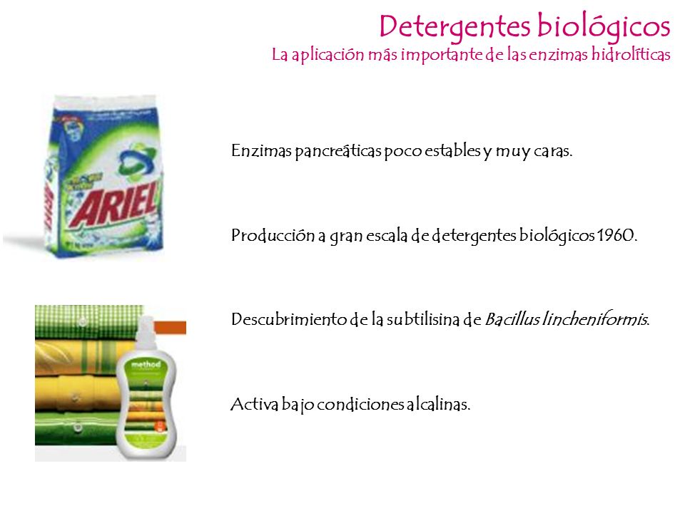 Clasificación de Proteínas - ppt descargar