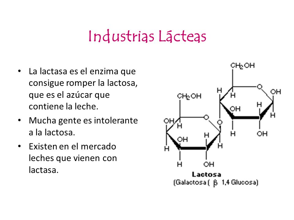 Industrias Lácteas La lactasa es el enzima que consigue romper la lactosa, que es el azúcar que contiene la leche.