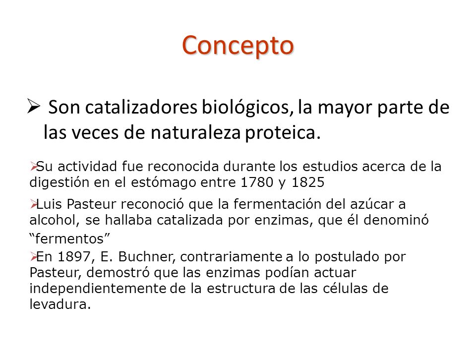 Concepto Son catalizadores biológicos, la mayor parte de las veces de naturaleza proteica.