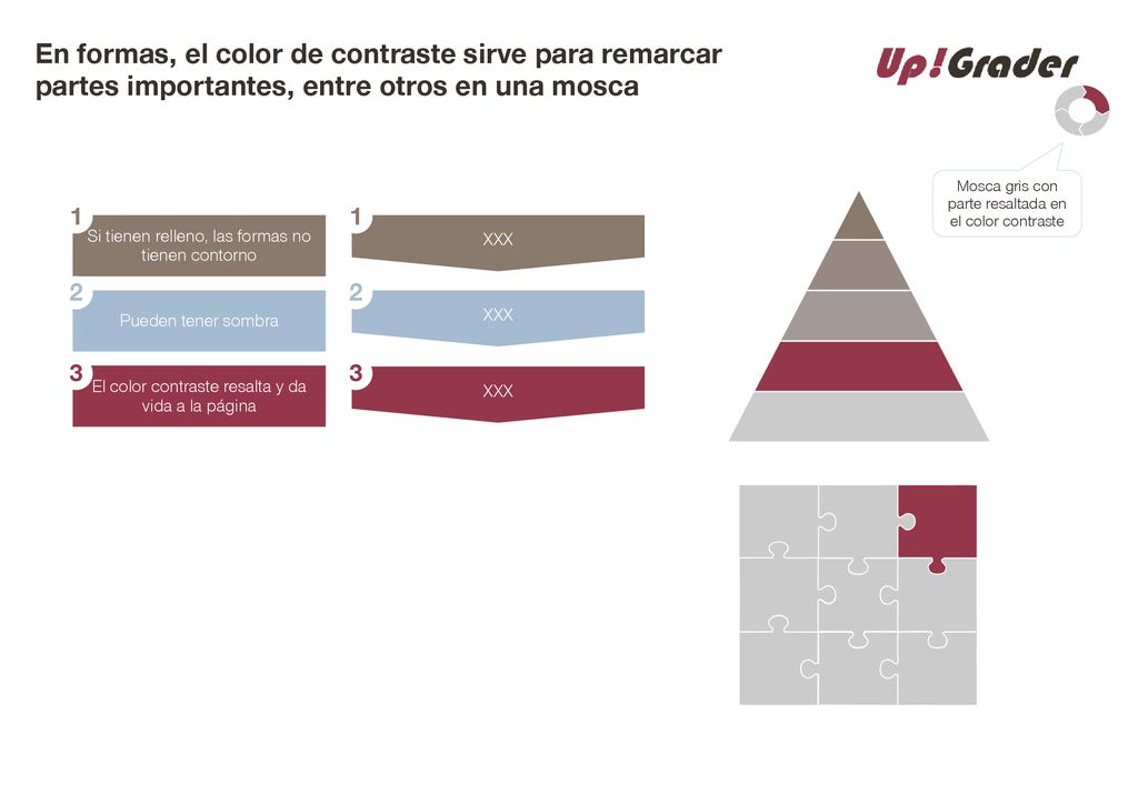 En formas, el color de contraste sirve para remarcar partes importantes, entre otros en una mosca