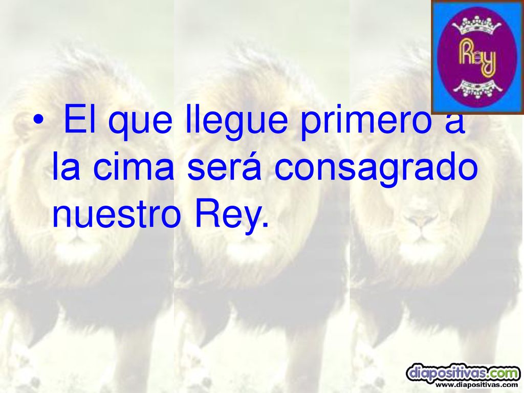 El que llegue primero a la cima será consagrado nuestro Rey.