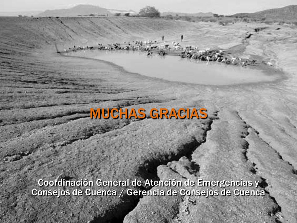 MUCHAS GRACIAS Coordinación General de Atención de Emergencias y Consejos de Cuenca / Gerencia de Consejos de Cuenca.