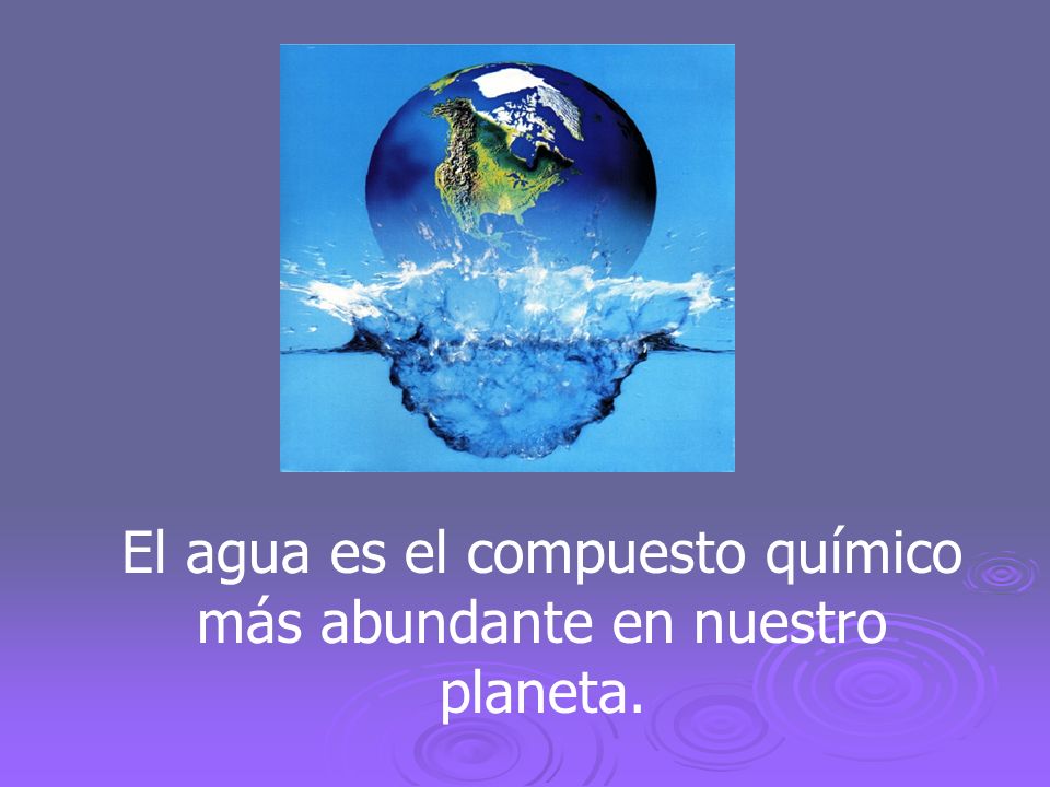 El agua es el compuesto químico más abundante en nuestro planeta.