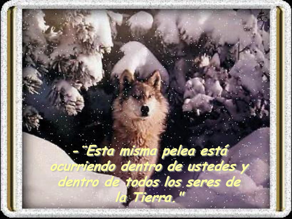 -¨Esta misma pelea está ocurriendo dentro de ustedes y dentro de todos los seres de la Tierra.