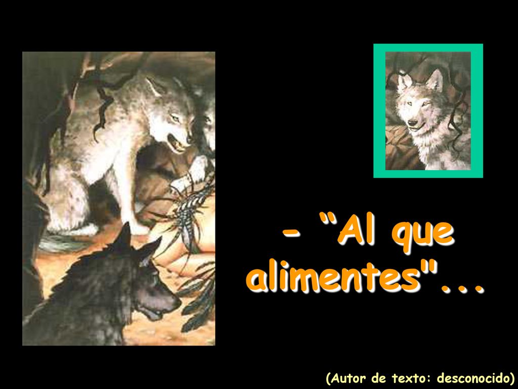 - Al que alimentes ... (Autor de texto: desconocido)