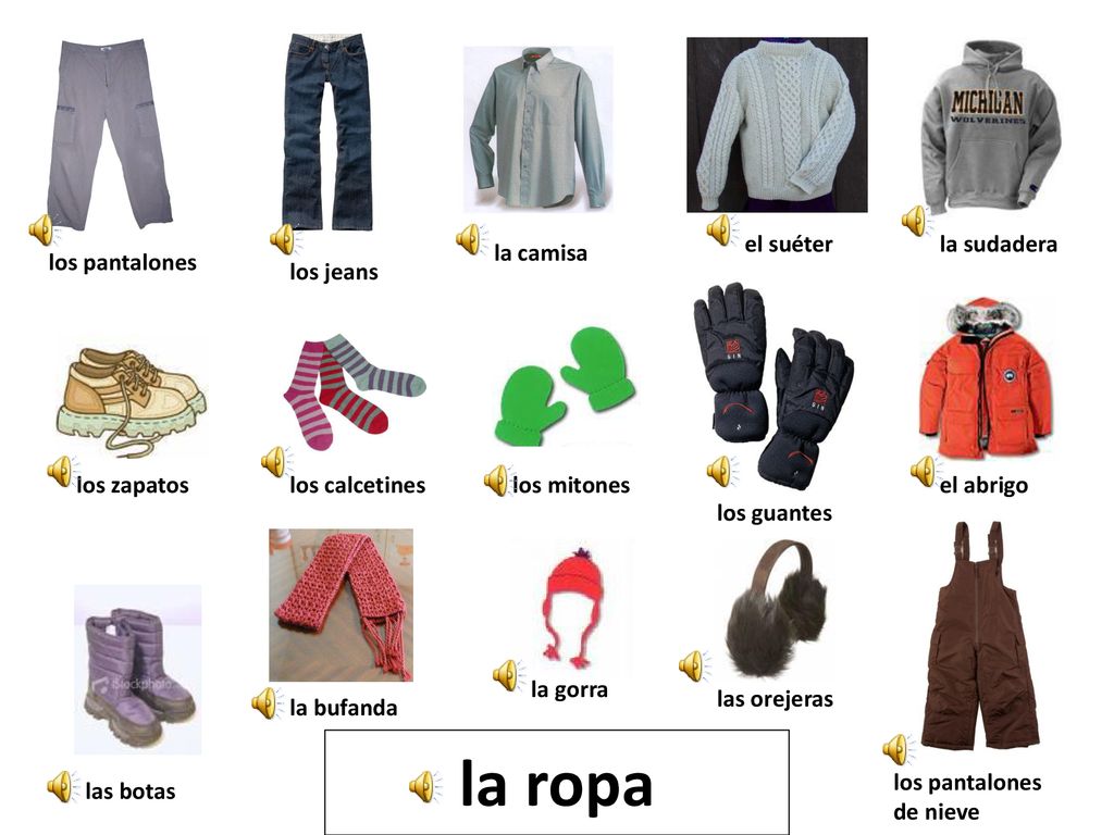 la ropa el suéter la sudadera la camisa los pantalones los jeans