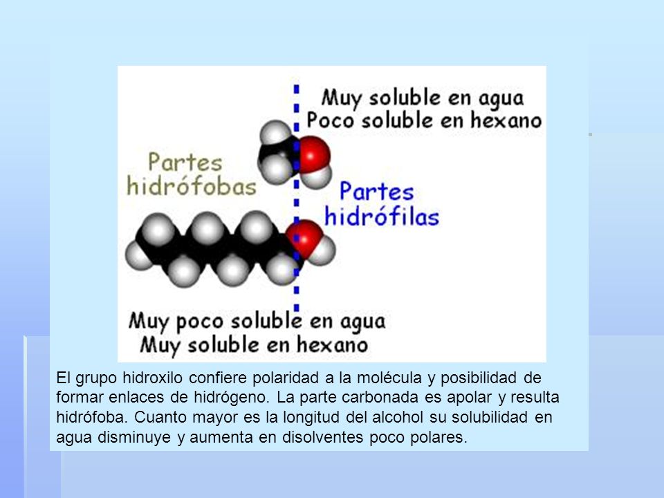 El grupo hidroxilo confiere polaridad a la molécula y posibilidad de formar enlaces de hidrógeno.