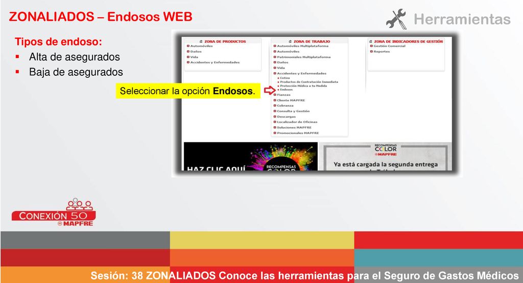 Herramientas ZONALIADOS – Endosos WEB Tipos de endoso: