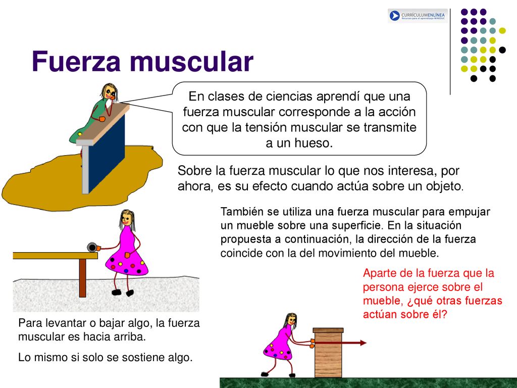 Fuerza muscular En clases de ciencias aprendí que una fuerza muscular corresponde a la acción con que la tensión muscular se transmite a un hueso.