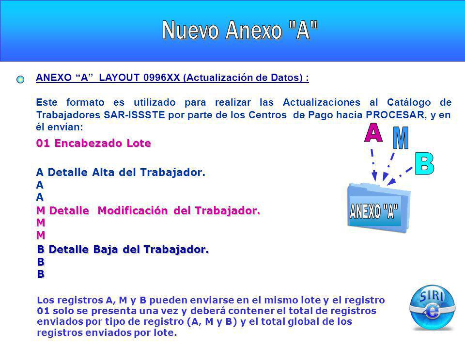Nuevo Anexo A A M B ANEXO A CARGA INICIAL