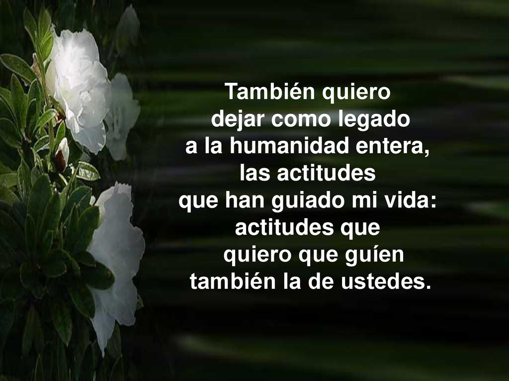 También quiero dejar como legado. a la humanidad entera, las actitudes. que han guiado mi vida: actitudes que.