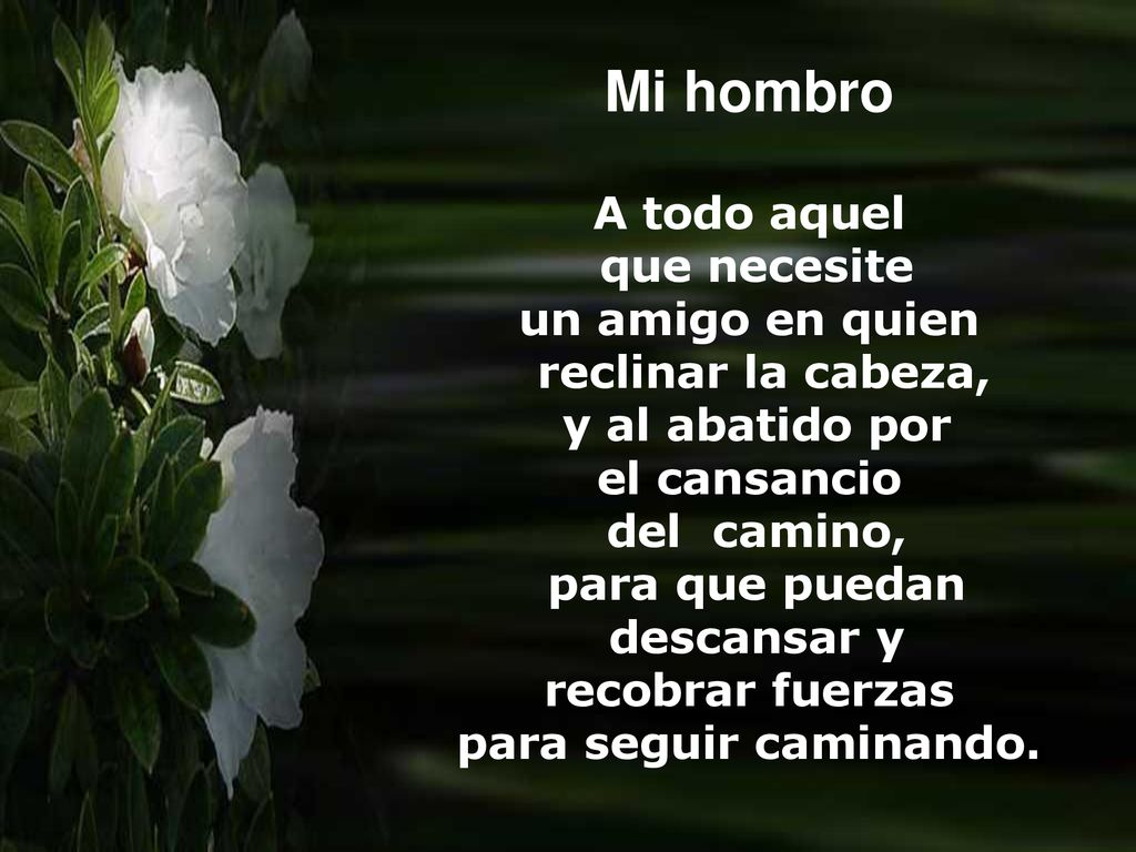 Mi hombro A todo aquel que necesite un amigo en quien