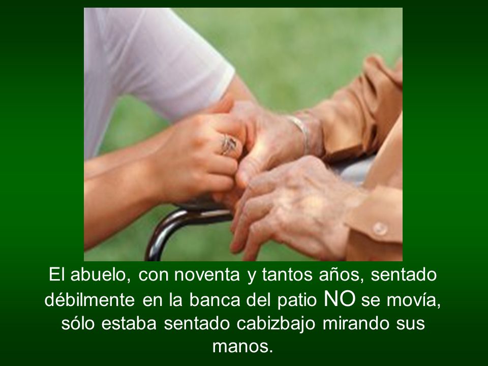 El abuelo, con noventa y tantos años, sentado débilmente en la banca del patio NO se movía, sólo estaba sentado cabizbajo mirando sus manos.
