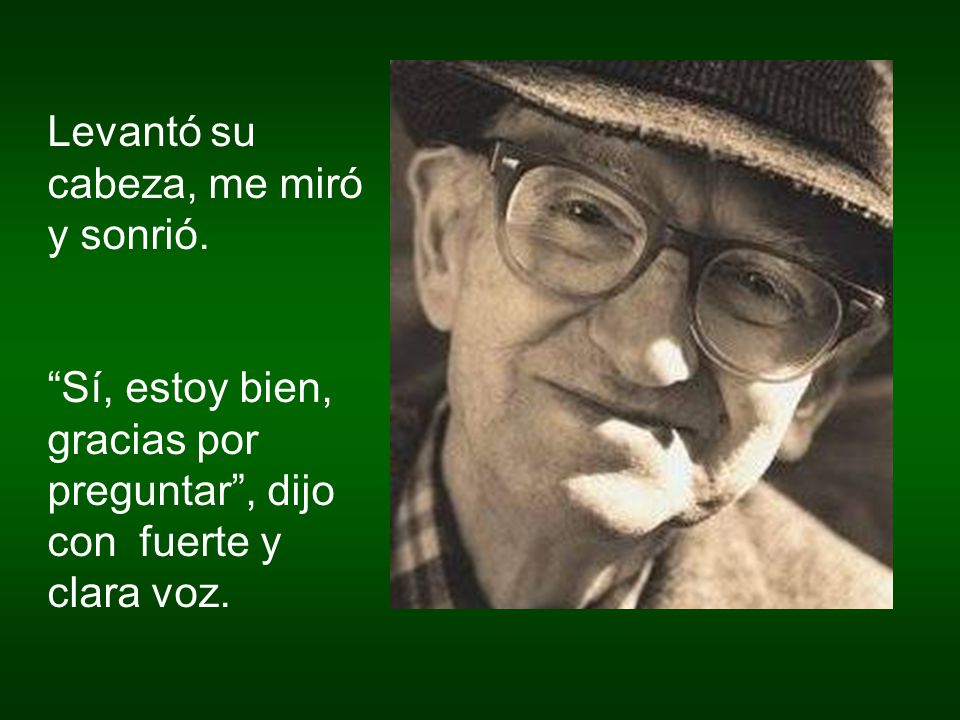 Levantó su cabeza, me miró y sonrió.