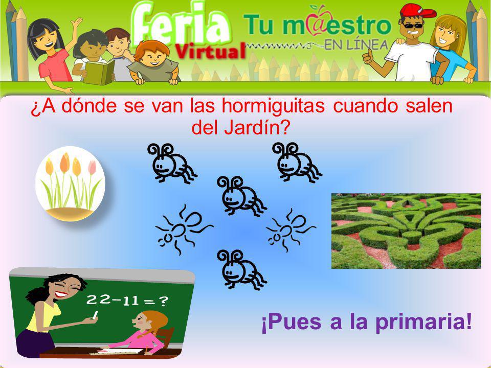 ¿A dónde se van las hormiguitas cuando salen del Jardín