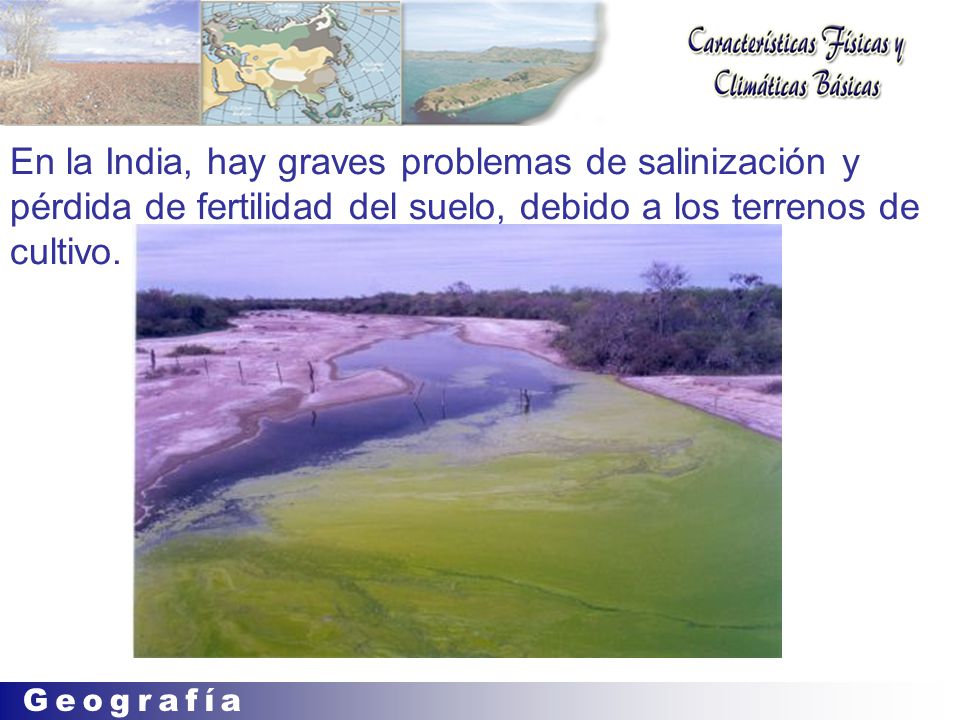 En la India, hay graves problemas de salinización y pérdida de fertilidad del suelo, debido a los terrenos de cultivo.
