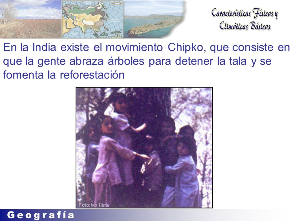 En la India existe el movimiento Chipko, que consiste en que la gente abraza árboles para detener la tala y se fomenta la reforestación