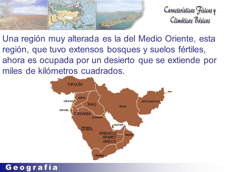 Una región muy alterada es la del Medio Oriente, esta región, que tuvo extensos bosques y suelos fértiles, ahora es ocupada por un desierto que se extiende por miles de kilómetros cuadrados.