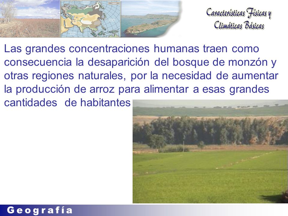Las grandes concentraciones humanas traen como consecuencia la desaparición del bosque de monzón y otras regiones naturales, por la necesidad de aumentar la producción de arroz para alimentar a esas grandes cantidades de habitantes