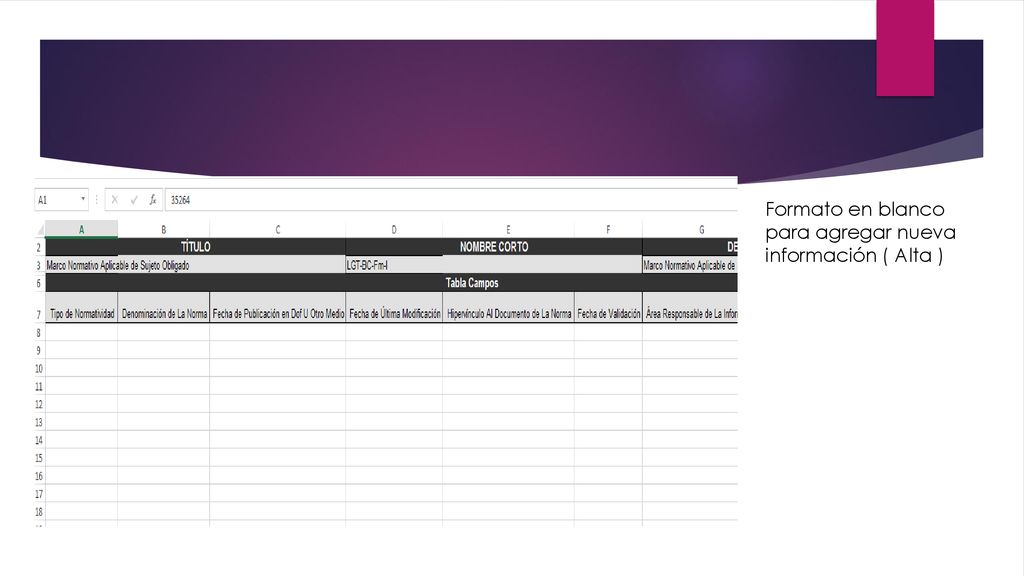 Formato en blanco para agregar nueva información ( Alta )