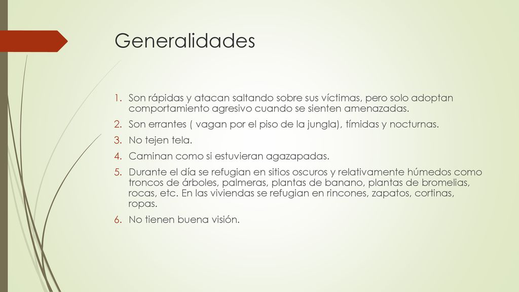 Generalidades Son rápidas y atacan saltando sobre sus víctimas, pero solo adoptan comportamiento agresivo cuando se sienten amenazadas.
