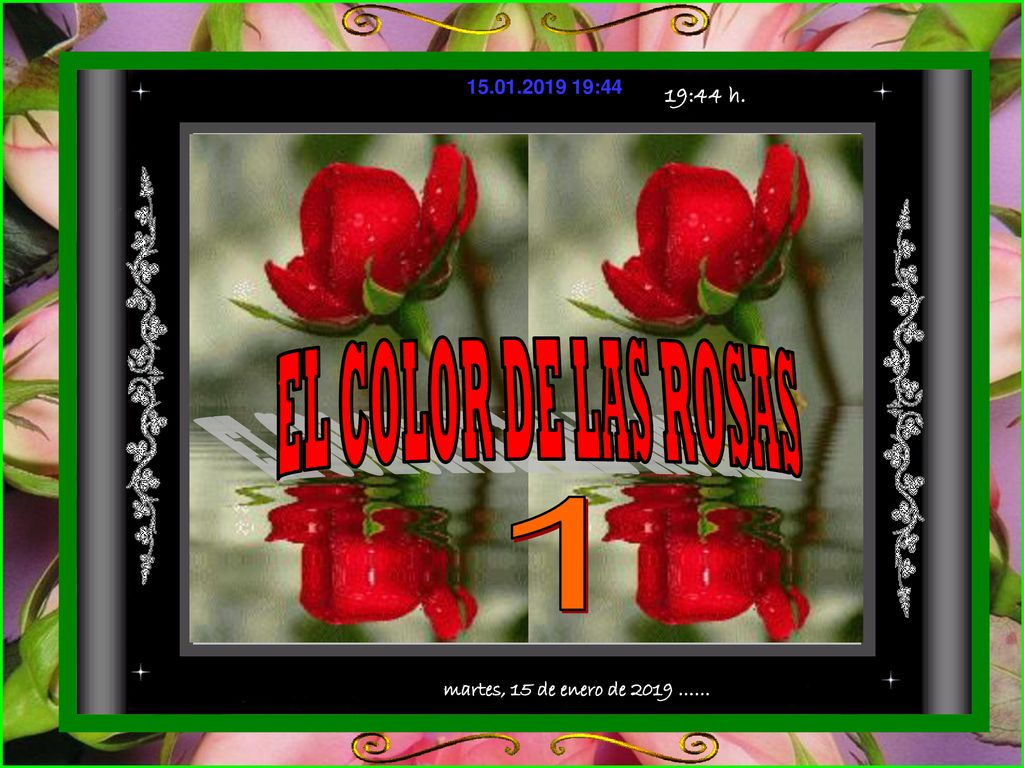 EL COLOR DE LAS ROSAS 1 martes, 15 de enero de 2019 …… 19:44 h.