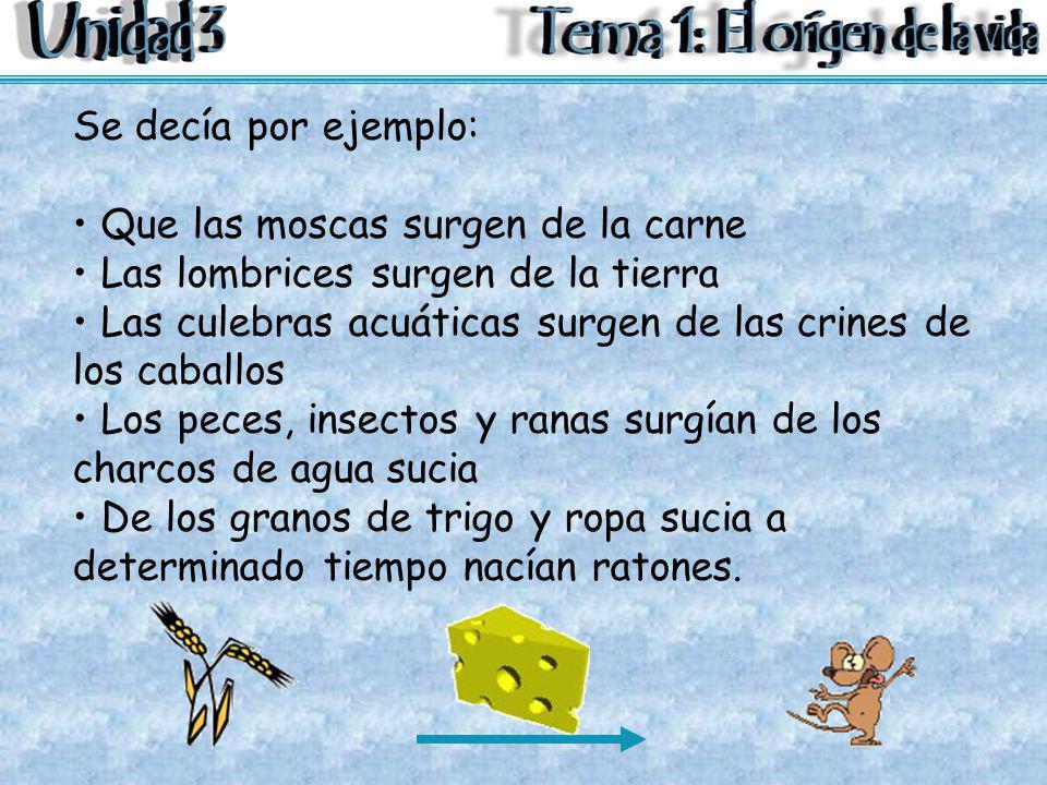 Se decía por ejemplo: Que las moscas surgen de la carne. Las lombrices surgen de la tierra.