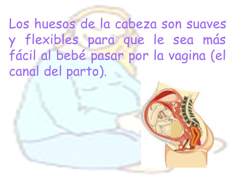 Los huesos de la cabeza son suaves y flexibles para que le sea más fácil al bebé pasar por la vagina (el canal del parto).