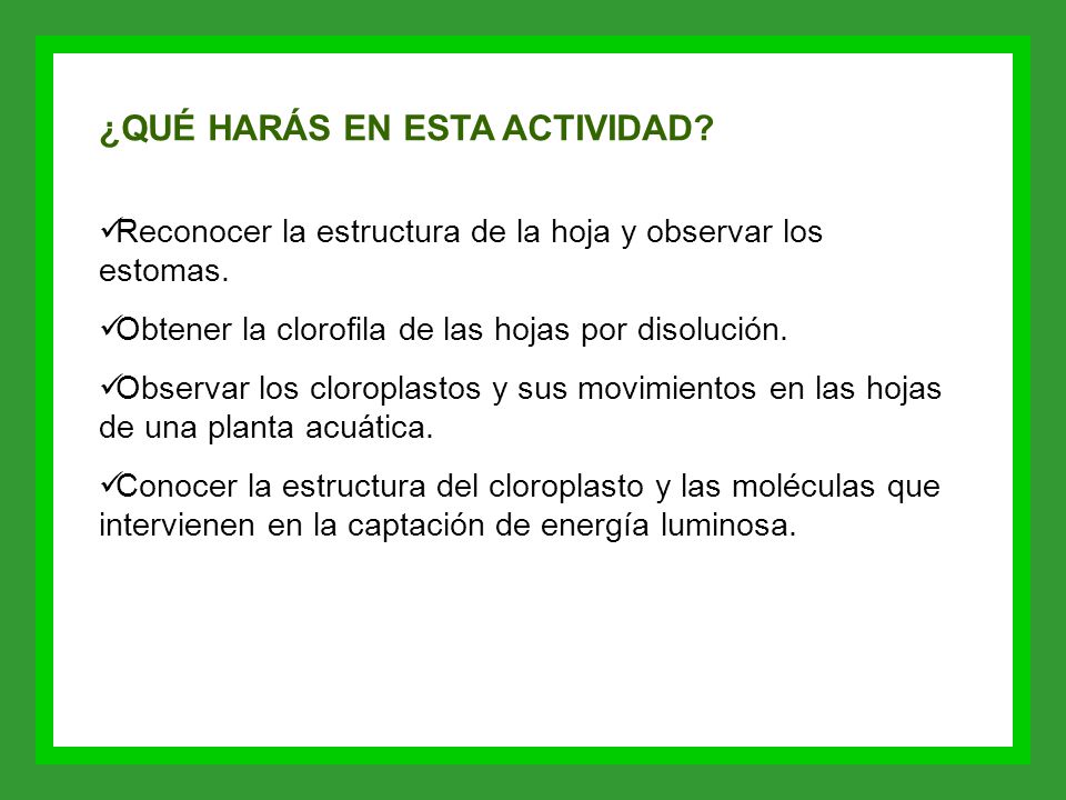 ¿QUÉ HARÁS EN ESTA ACTIVIDAD