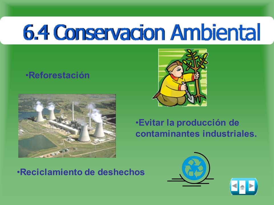 Reforestación Evitar la producción de contaminantes industriales. Reciclamiento de deshechos