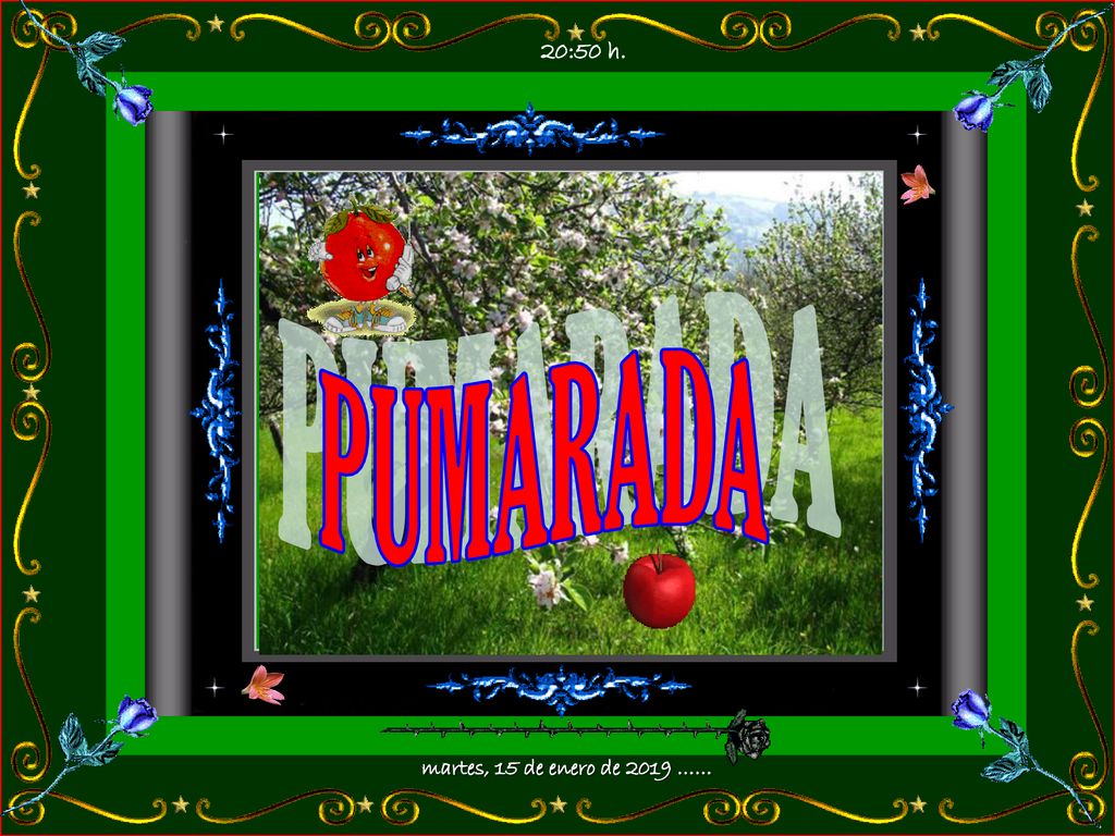20:50 h. PUMARADA martes, 15 de enero de 2019 ……