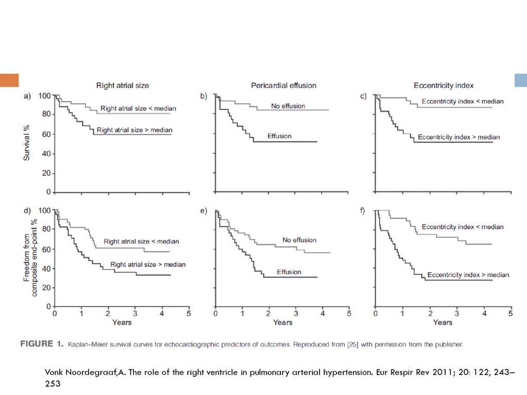 Vonk Noordegraaf,A. The role of the right ventricle in pulmonary arterial hypertension.