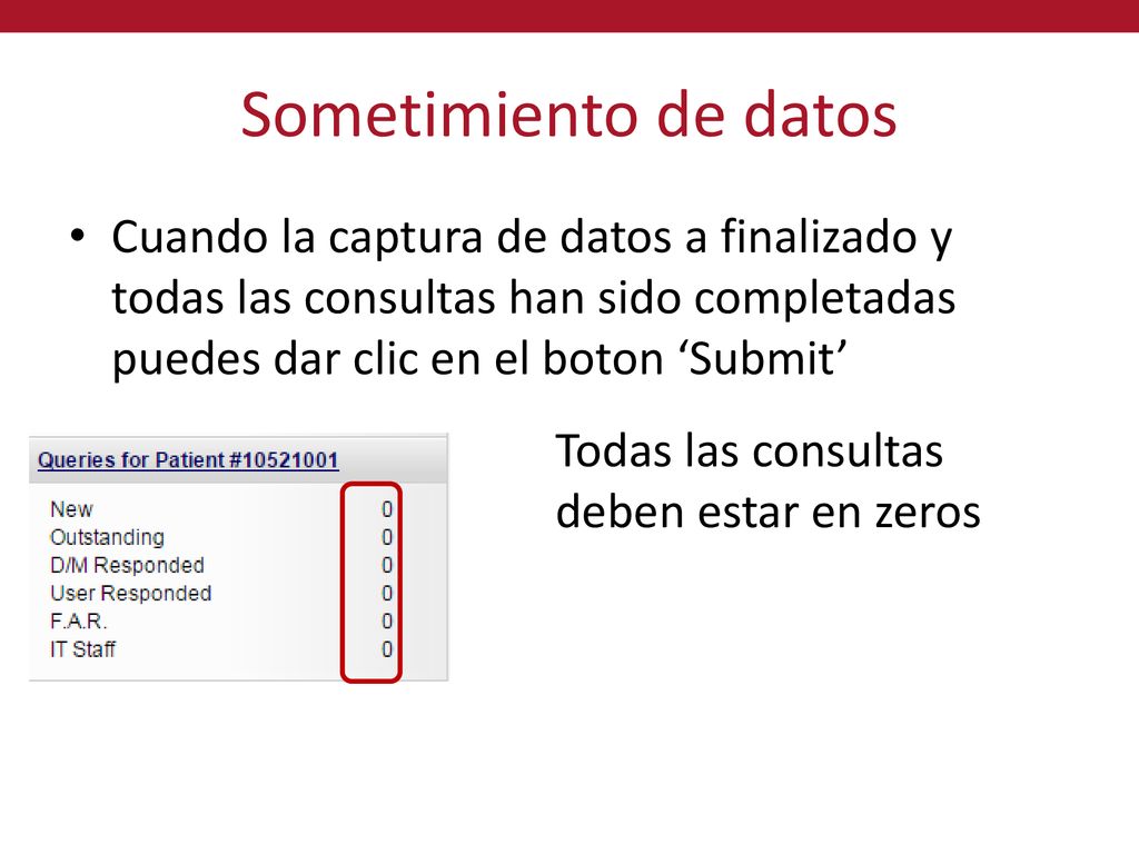 Sometimiento de datos Cuando la captura de datos a finalizado y todas las consultas han sido completadas puedes dar clic en el boton ‘Submit’