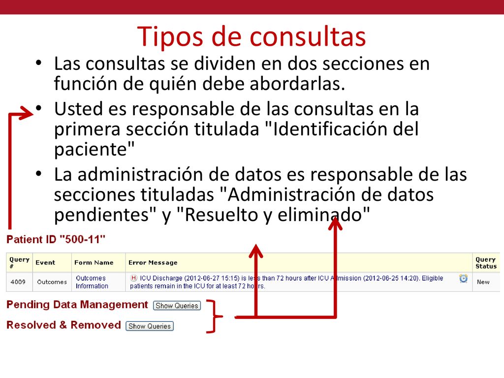 Tipos de consultas Las consultas se dividen en dos secciones en función de quién debe abordarlas.