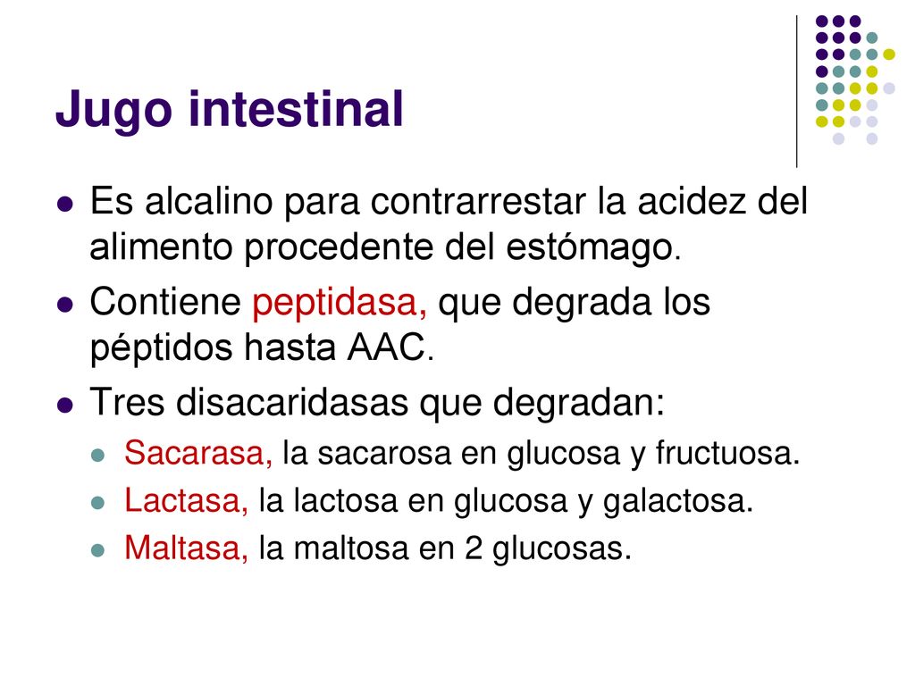 Jugo intestinal Es alcalino para contrarrestar la acidez del alimento procedente del estómago.